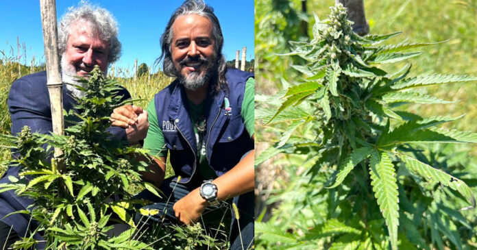 Deputado Padre Pedro e o professor Erik Amazonas, no Polo de Desenvolvimento e Inovação em Cannabis (Podican) da UFSC em Curitibanos.