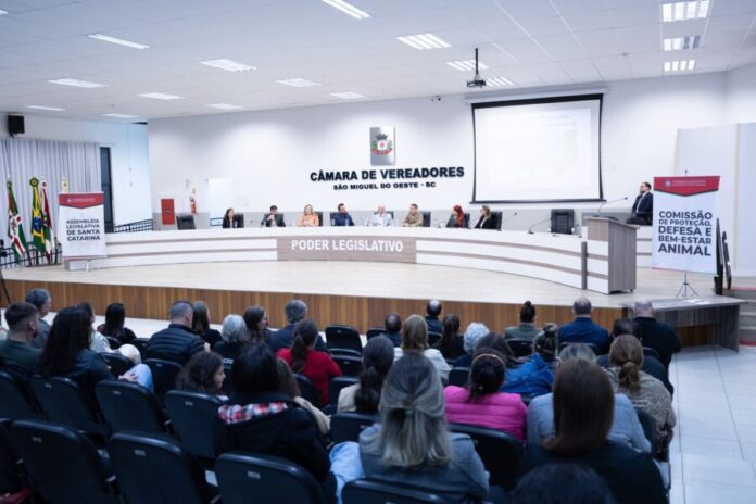 AudienciaSMO 080526 AQ 900x600