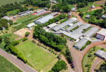 Do campo para o futuro: CEDUP celebra 38 anos CGtBbp3kN0D5ThpEIaBPTcd0h0yPM4KNjV8aHsUU